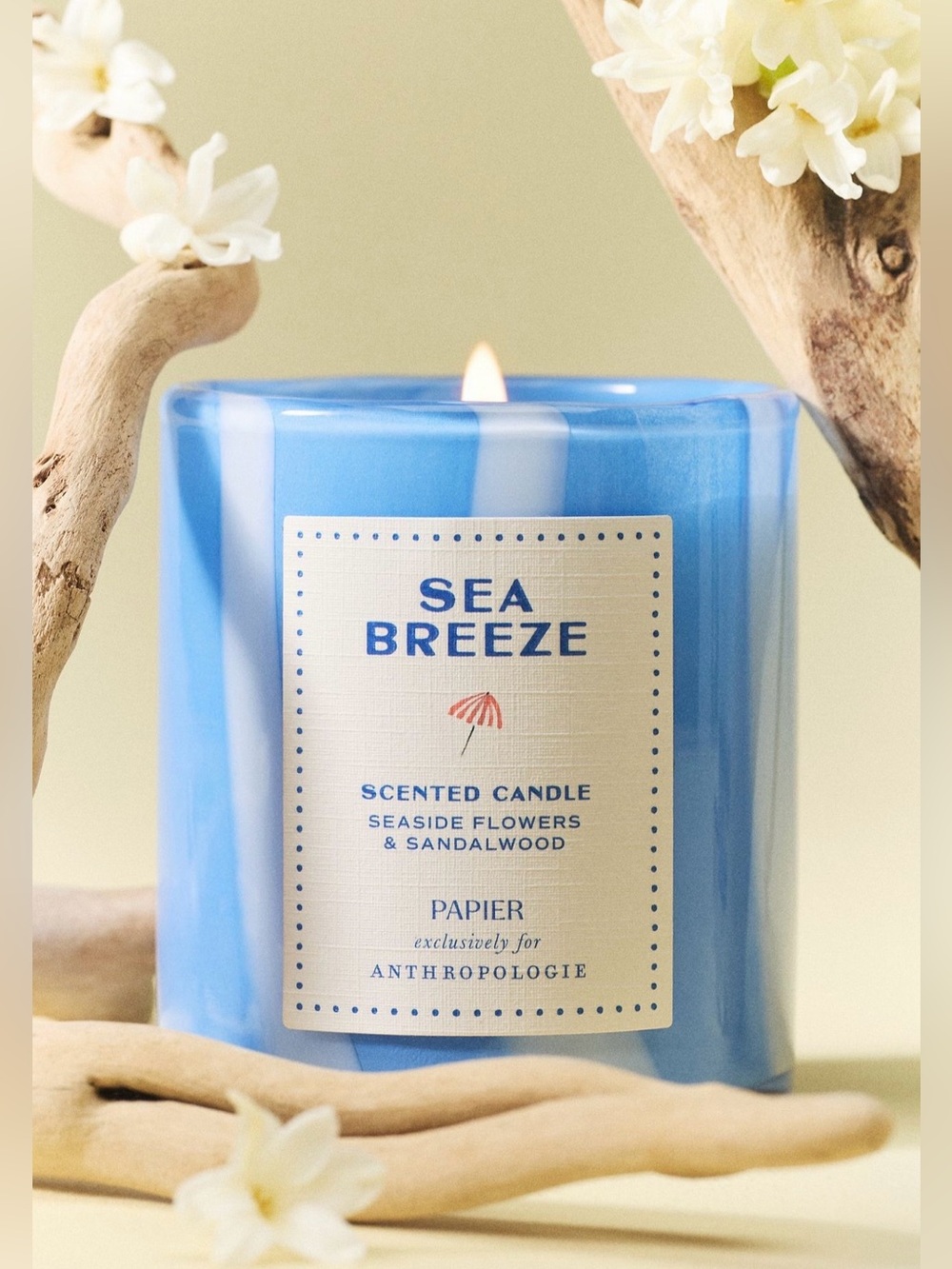 Papier x Anthropologie Floral Seaside Flowers & Sandalwood Glass Candle